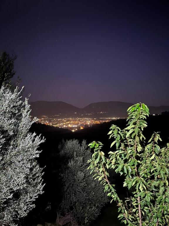 Jepet me qira shtëpi private në Tiranë, zona “Te Pamja”.