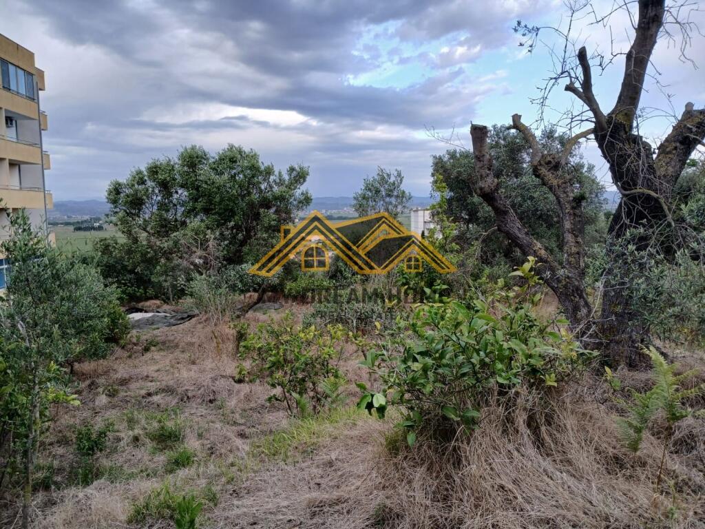 TOKE ME PAMJE DETI NE KARPEN KAVAJE, PER SHITJE !