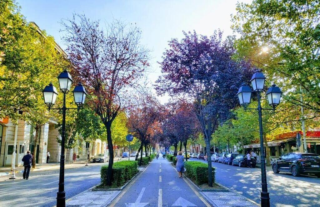 Jepet me qera Ambjent Zyre – Rruga e Bogdanëve