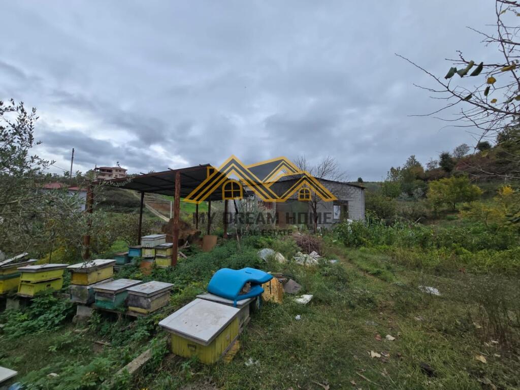 KAPANON DHE TOKE NE SHKALLNUR DURRES,PER SHITJE!