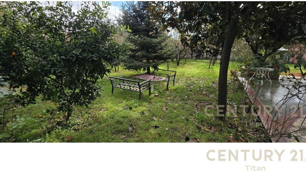 JEPET ME QERA AGROTURIZEM PRANE RINASIT