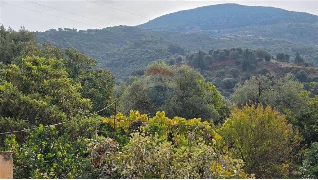 🏠 Apartament 1+1 – Për Qira Lungomare, Vlore