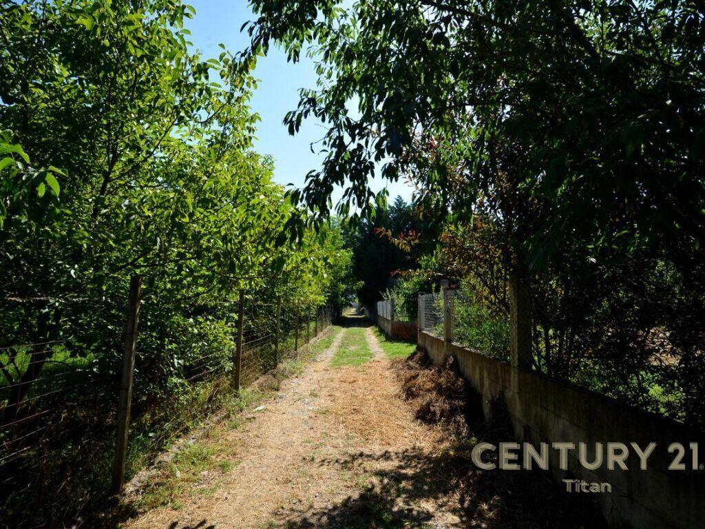 JEPET ME QERA AGROTURIZEM PRANE RINASIT