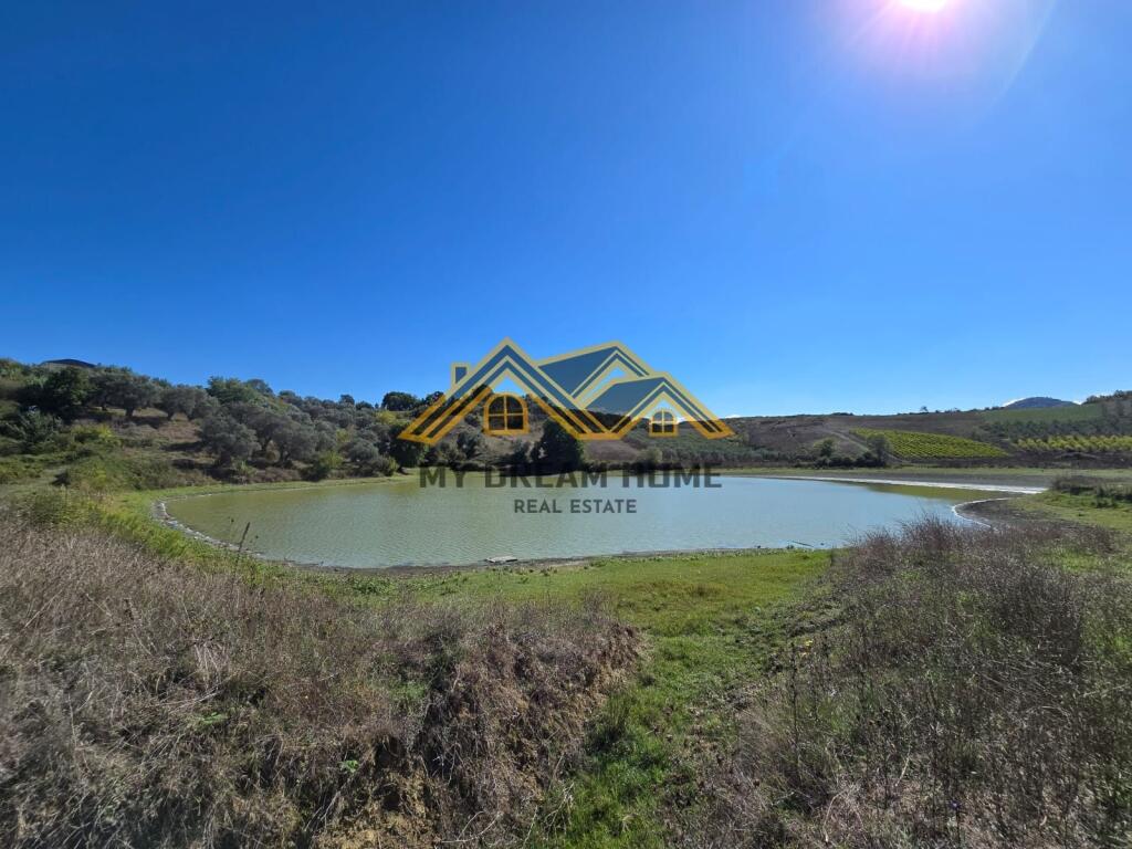 SHITET TOKE ARE NE RROMANAT