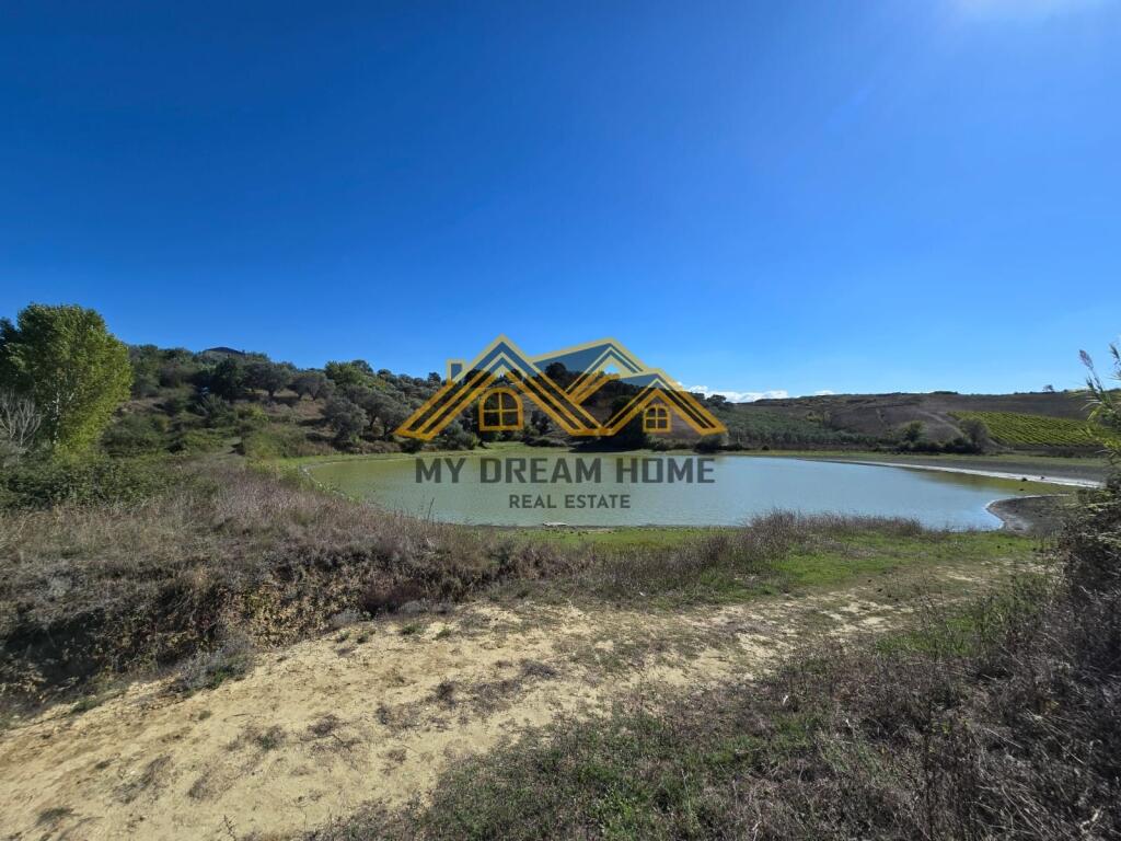 SHITET TOKE ARE NE RROMANAT