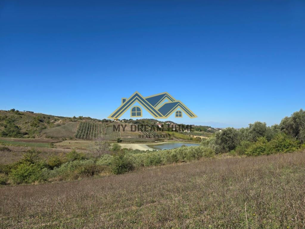 SHITET TOKE ARE NE RROMANAT