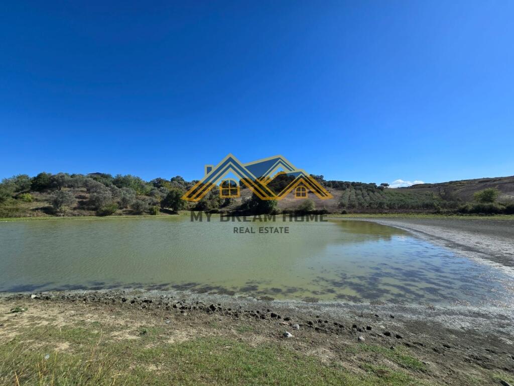 SHITET TOKE ARE NE RROMANAT