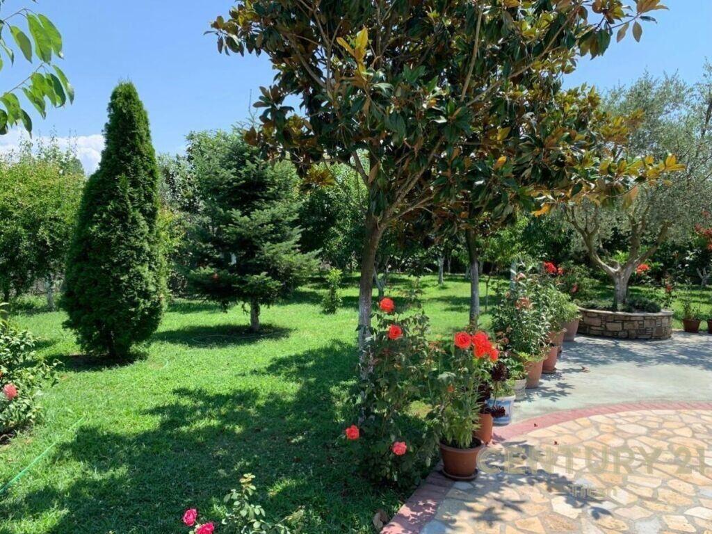 JEPET ME QERA AGROTURIZEM PRANE RINASIT