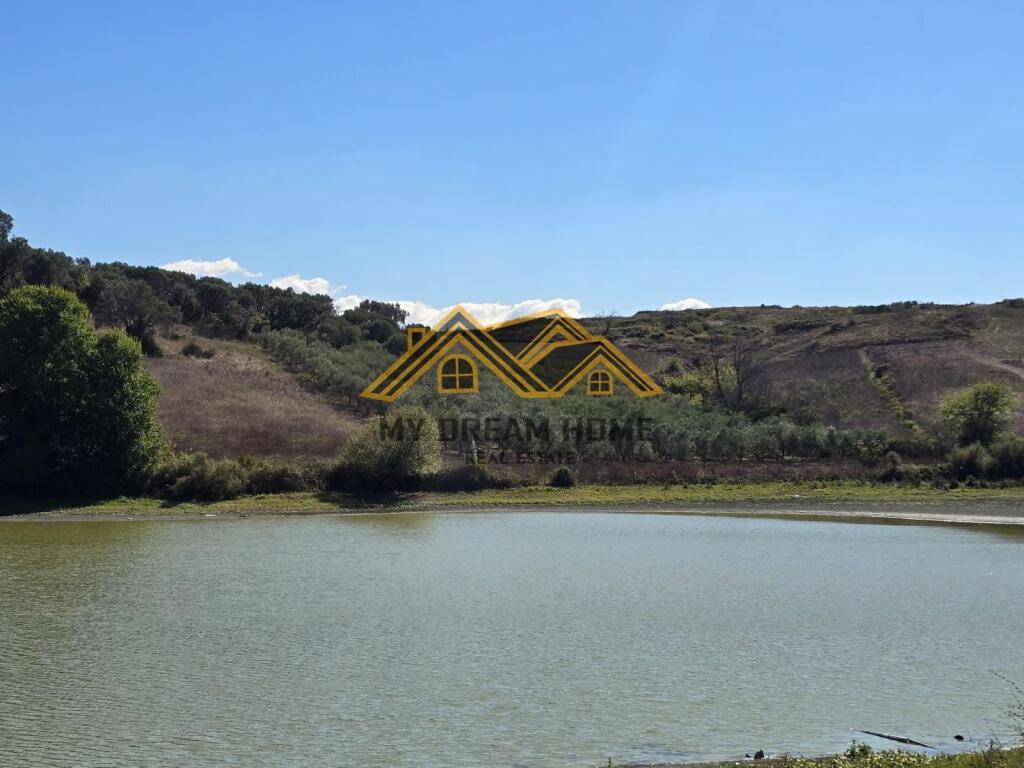 SHITET TOKE ARE NE RROMANAT