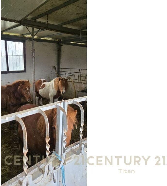 JEPET ME QERA AGROTURIZEM PRANE RINASIT