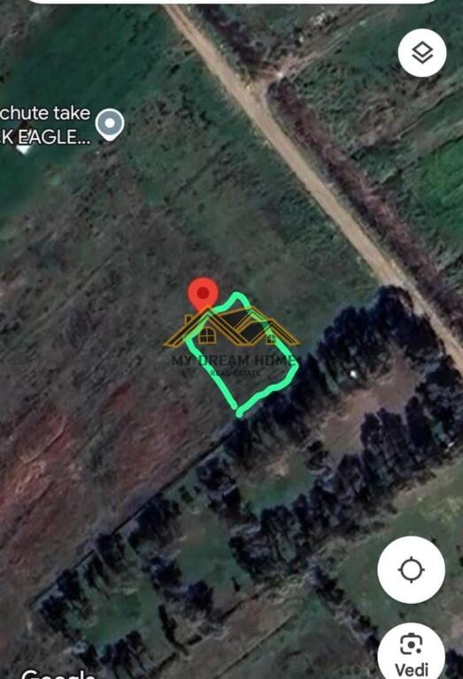 Shitet Toke ne Qerret