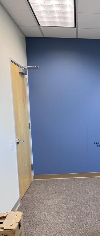 ZYRE ME QERA 50 M2 SHESHI WILLSON 75.000 LEKE