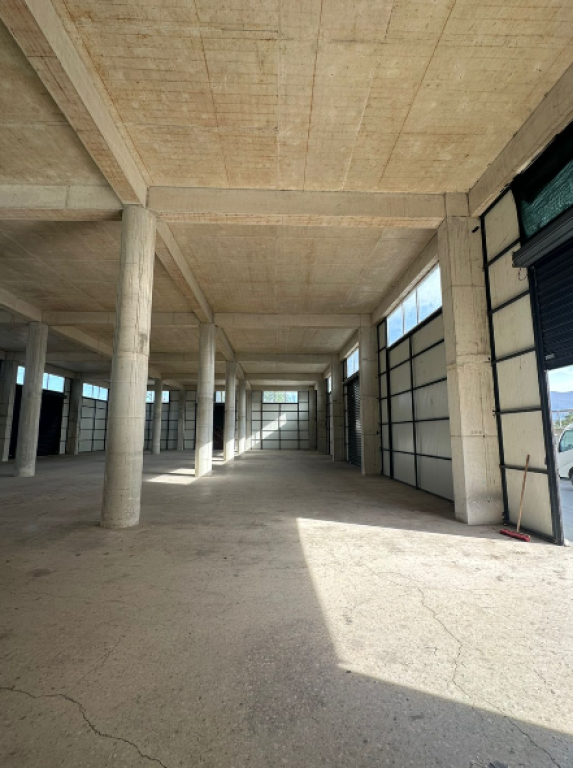 🏢 Store – near Top Channel, Kashar