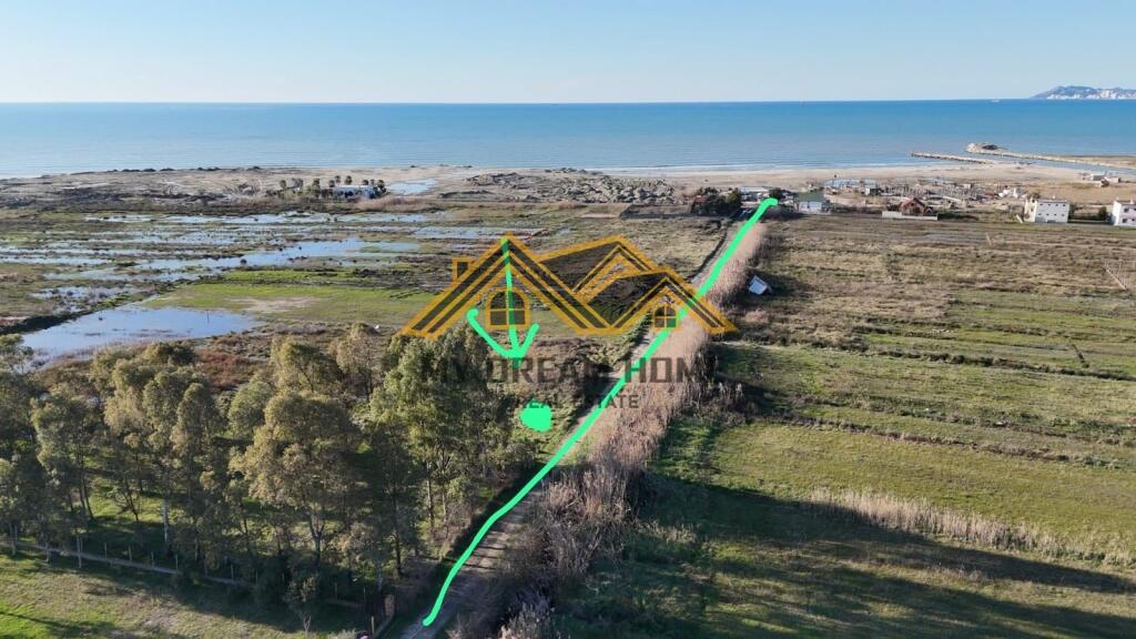 Shitet Toke ne Qerret