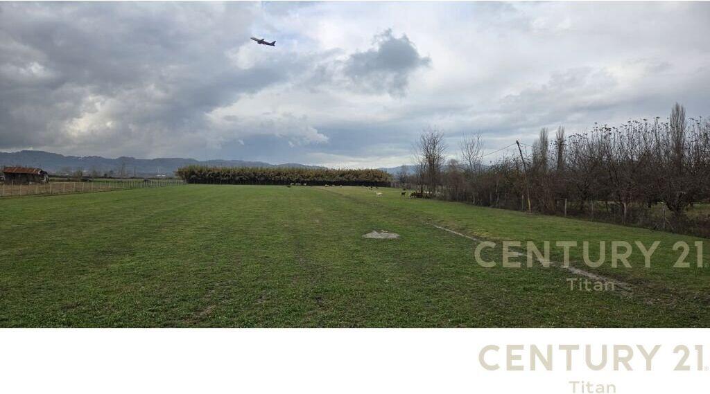 JEPET ME QERA AGROTURIZEM PRANE RINASIT