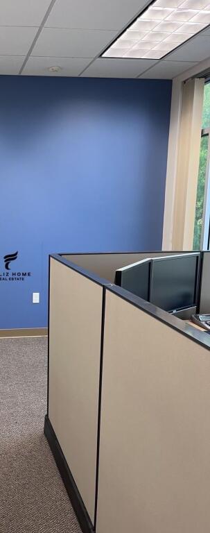 ZYRE ME QERA 50 M2 SHESHI WILLSON 75.000 LEKE