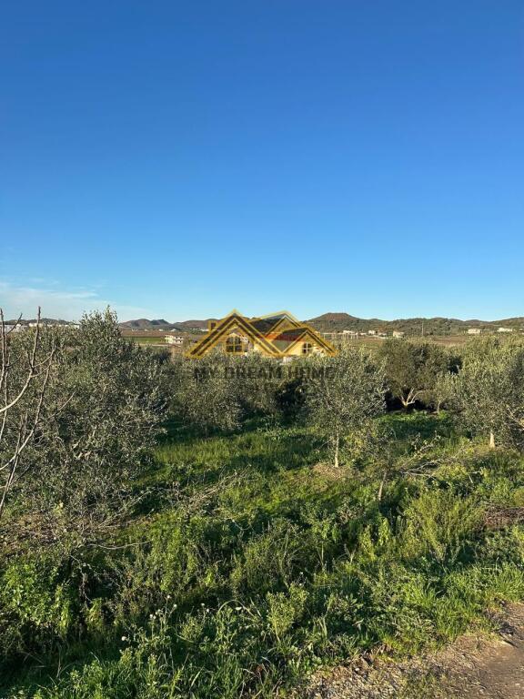 SHITET TOKE MANEZ E PERSHTATESHME PER SHTEPI