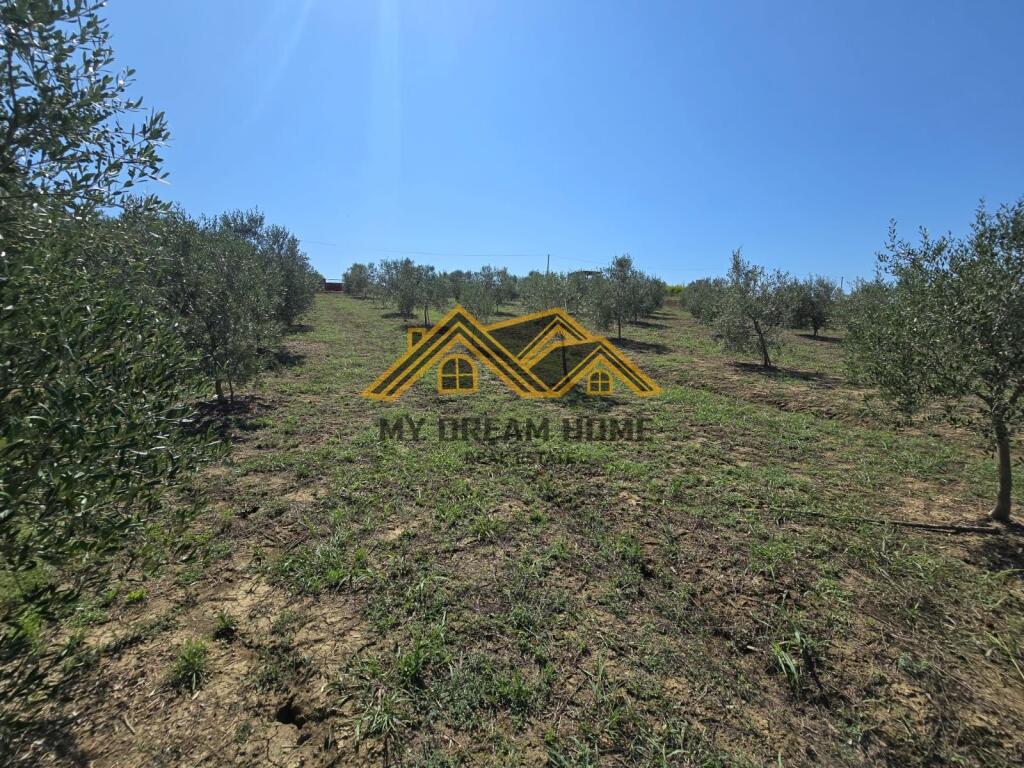 SHITET TOKE MANEZ E PERSHTATESHME PER SHTEPI