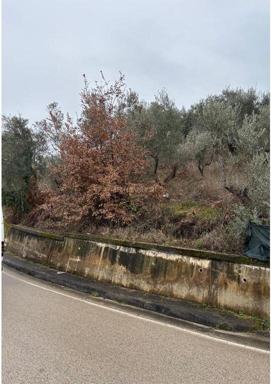 Shitet tokë në Sauk të Vjetër 620,000 €