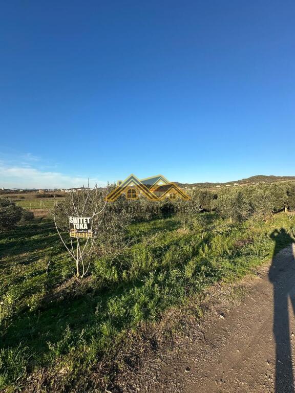 SHITET TOKE MANEZ E PERSHTATESHME PER SHTEPI