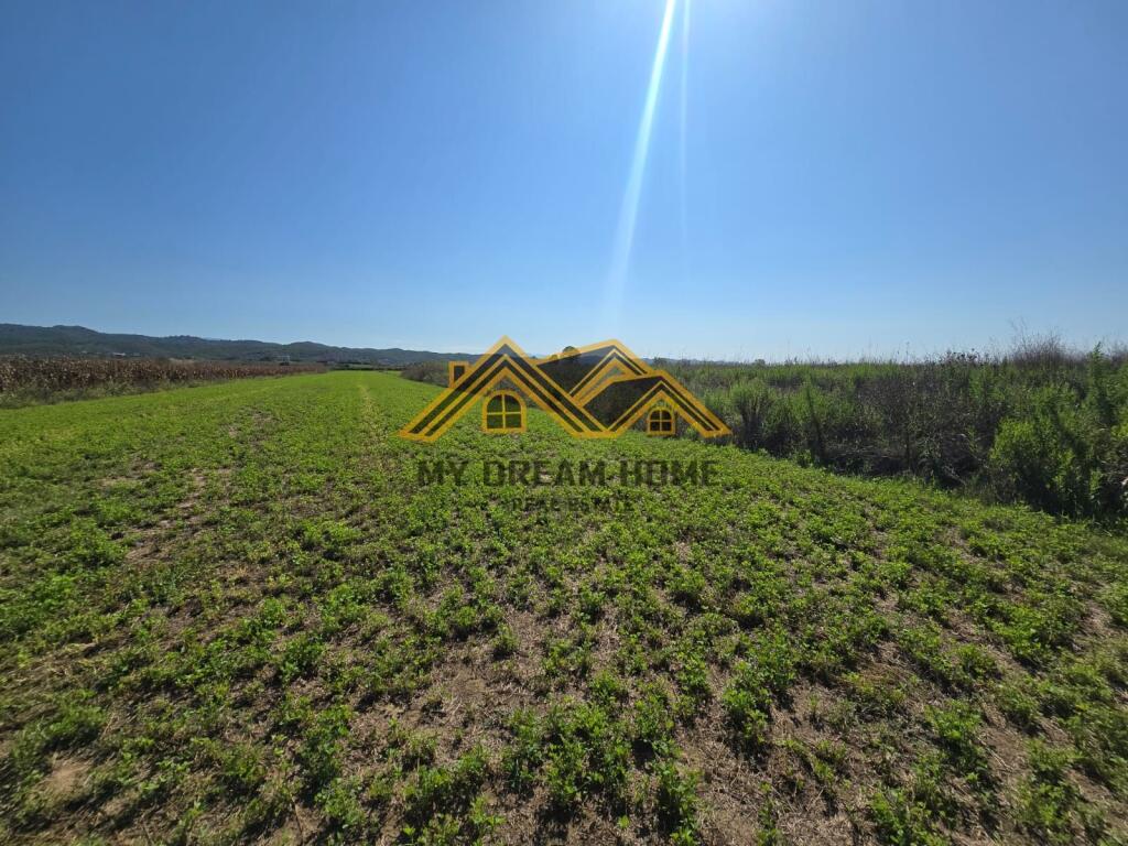 Shitet Tokë Are në Gjirin e Lalzit