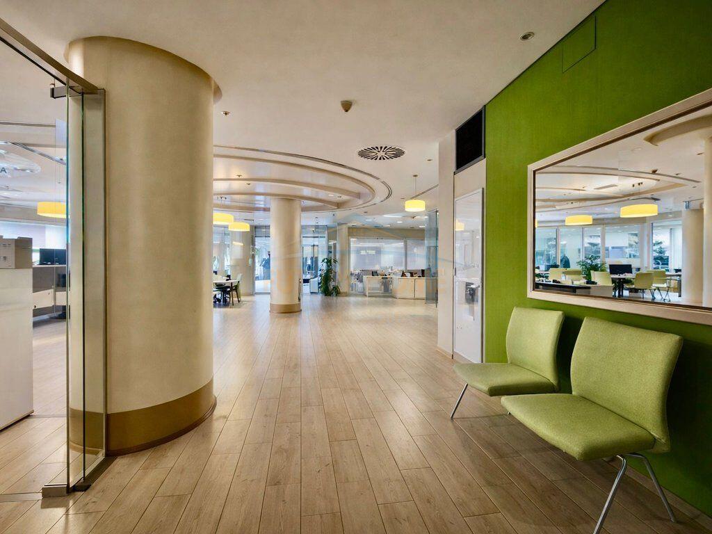 Rent, Business Environment Coin Tirana Air Albania stadium