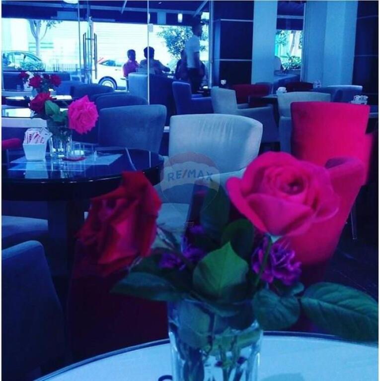 Bar/Caffè - In Vendita - Via Bardhyl, Tirana(ID: 530381017-23)