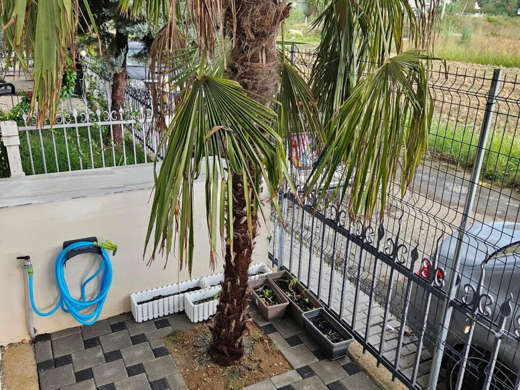 Apartament 1+1 NE SHITJE TEK GJIRI I LALZIT 105,000 EURO I DISKUTUESHEM