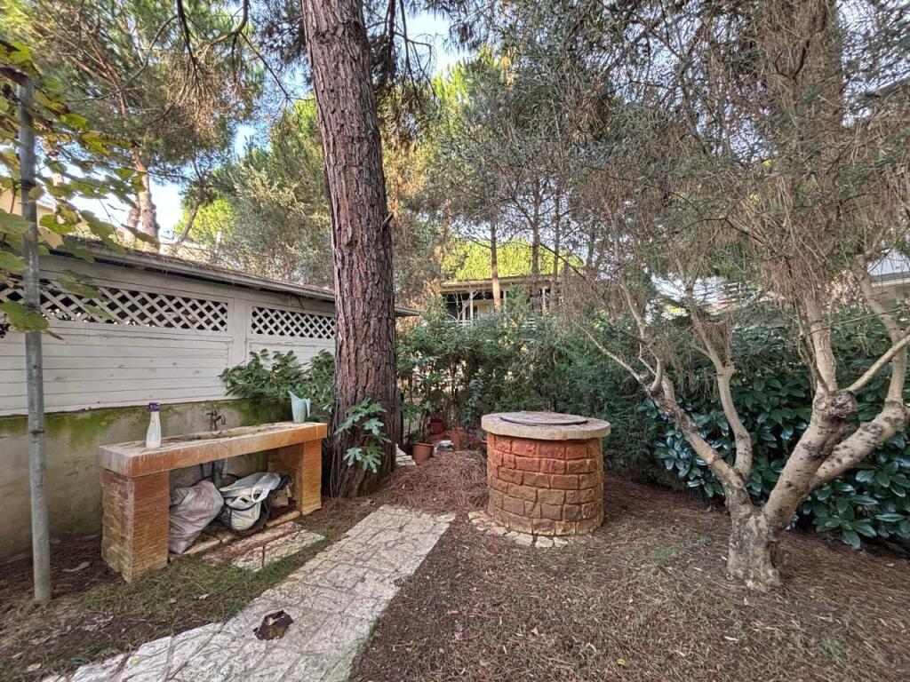 Shitet Vilë – Lura, Gjiri i Lalzit