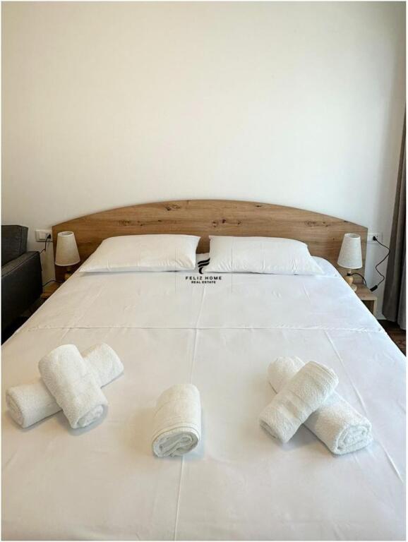 APARTMENT 1+1 &amp; STUDIO FOR RENT PARIS MUNICIPALITY 120,000 LEKE