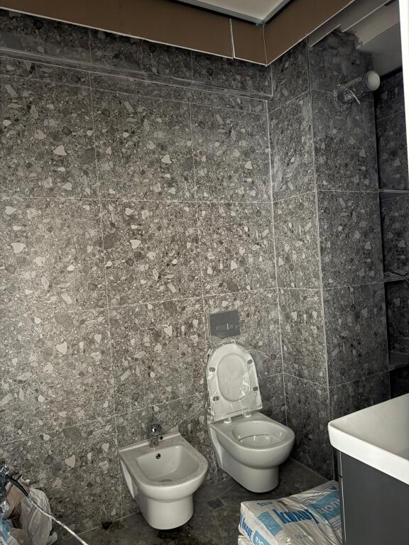 Premises for rent 1+1