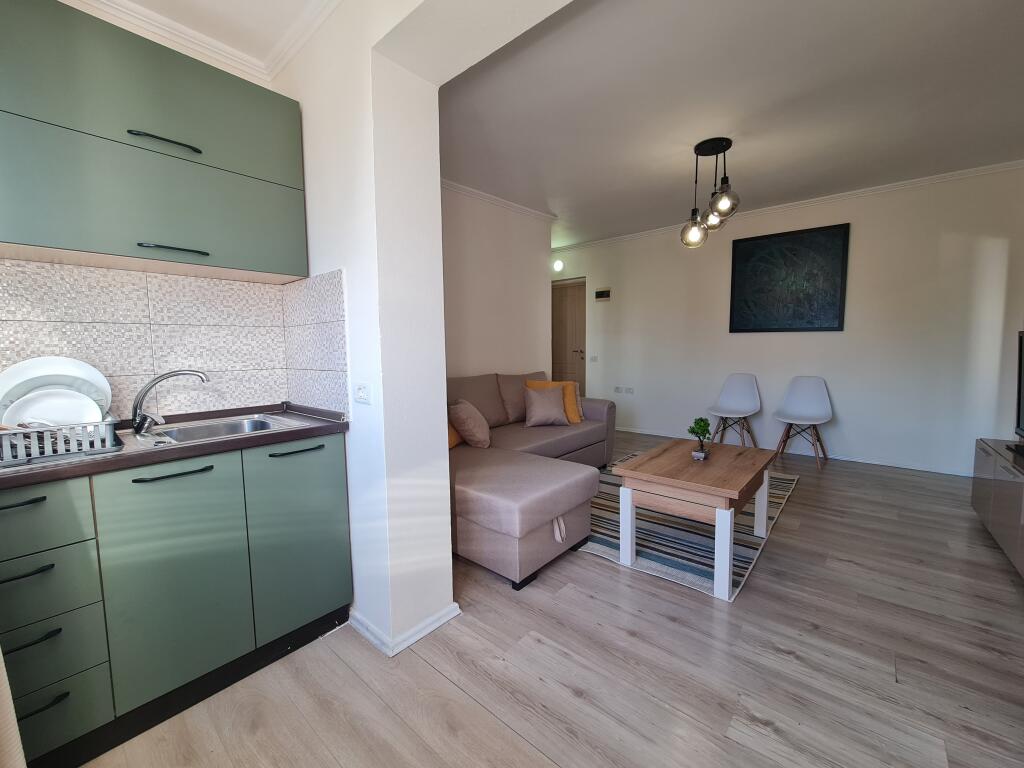 Opportunity Apartment 1+1 for sale Ali Dem