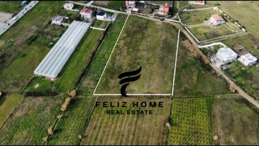 SHITET TRUALL 7000M2 PRUSH 700.000 EURO