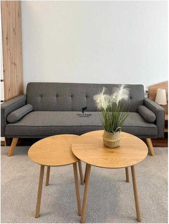 APARTMENT 1+1 &amp; STUDIO FOR RENT PARIS MUNICIPALITY 120,000 LEKE