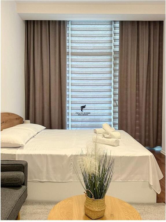 APARTMENT 1+1 &amp; STUDIO FOR RENT PARIS MUNICIPALITY 120,000 LEKE