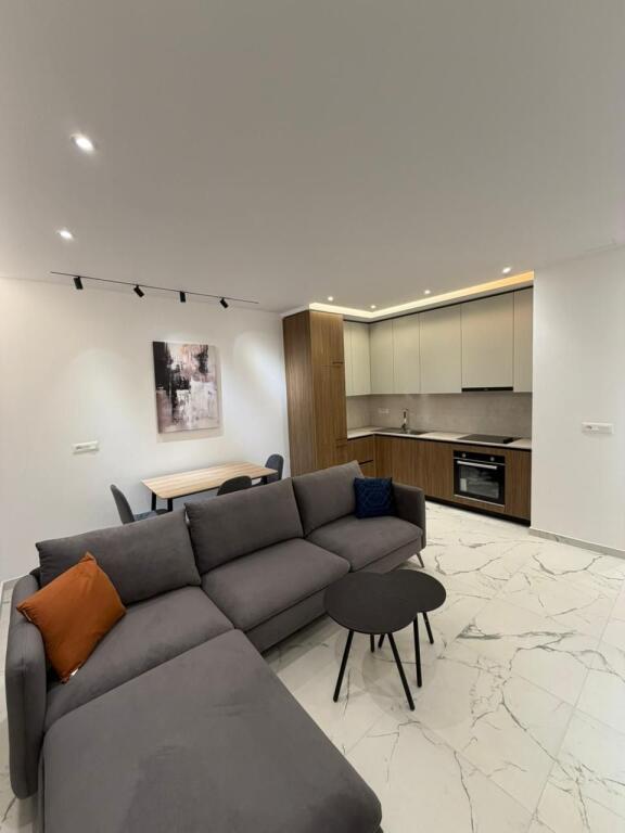 Apartament me qera 1+1, Zogu i Zi