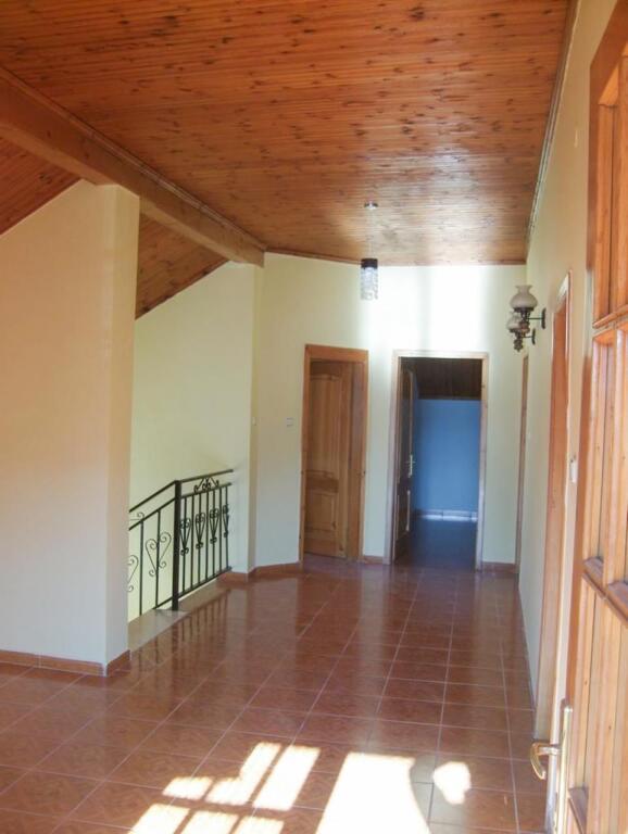 VILE PER SHITJE NE DON BOSKO