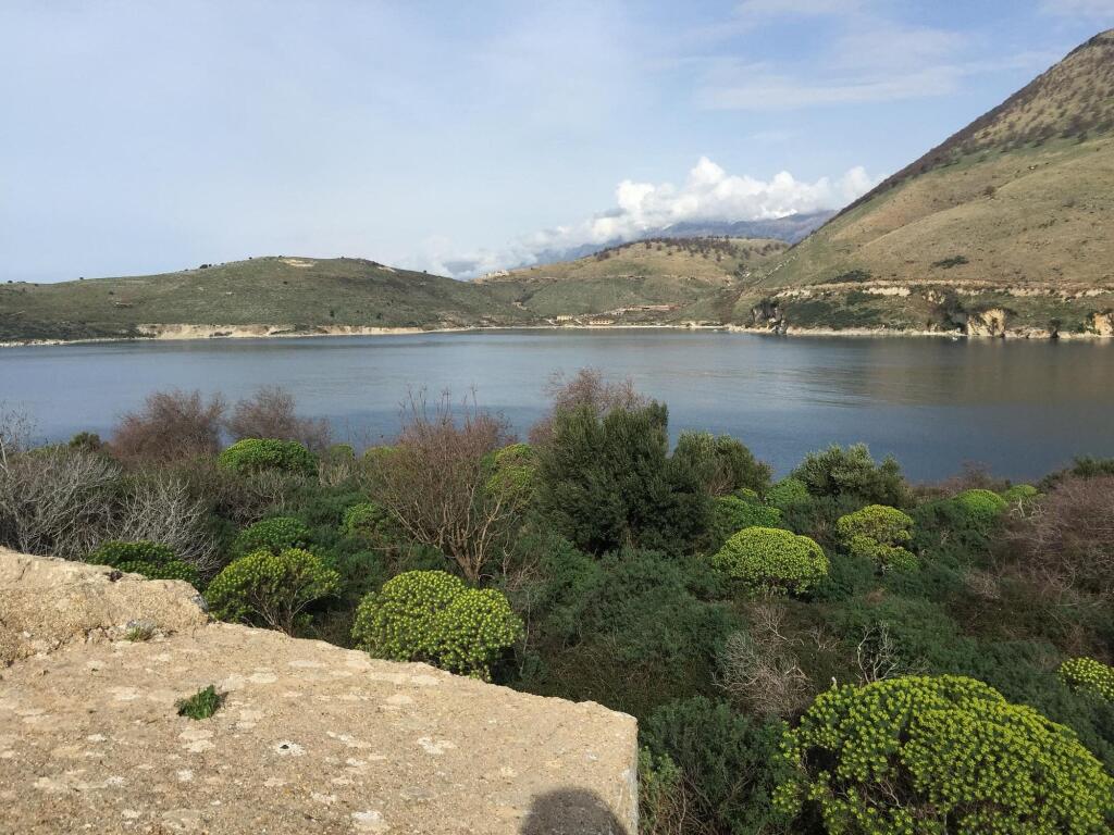 Shitje Truall,Porto Palermo