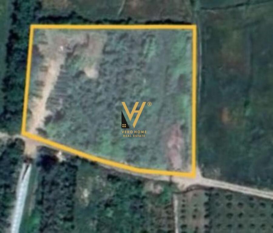 SHITET TOKE 4.600 M2 NE FARKE TE VOGEL 920.000 EURO