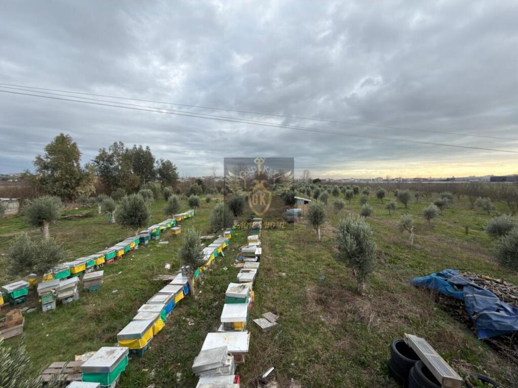 Land for Sale Are Vrine Shenavlash