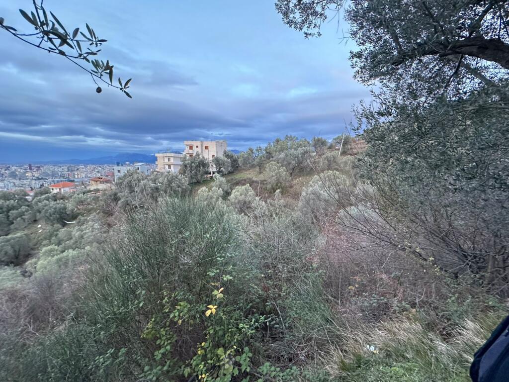 ofrojme toke per shitje ne Sauk