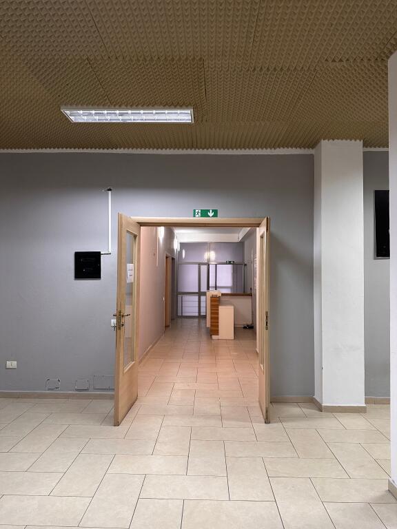 Jepet me qira ambient biznesi – 350 m², Tiranë Qendër