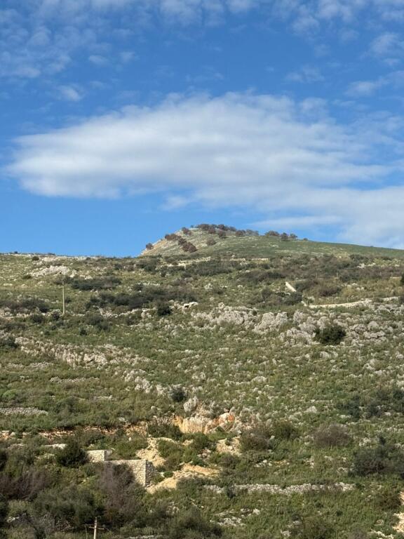 7350m2 toke me pamje nga deti Qeparo