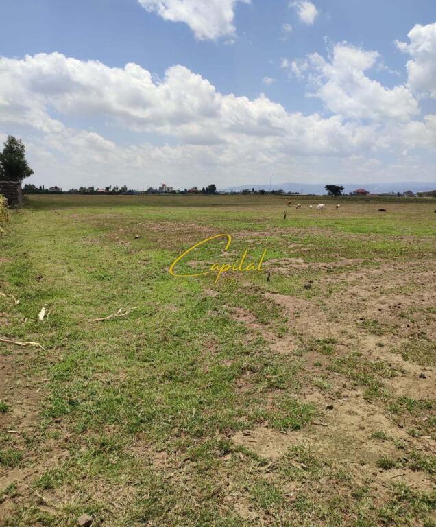 LAND FOR RENT 4000 M2 MEZEZ 800 EURO