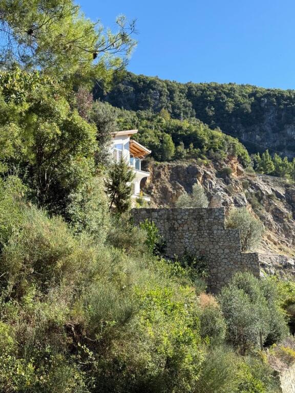 SUPER VILE  NE SHITJE NE LINZE