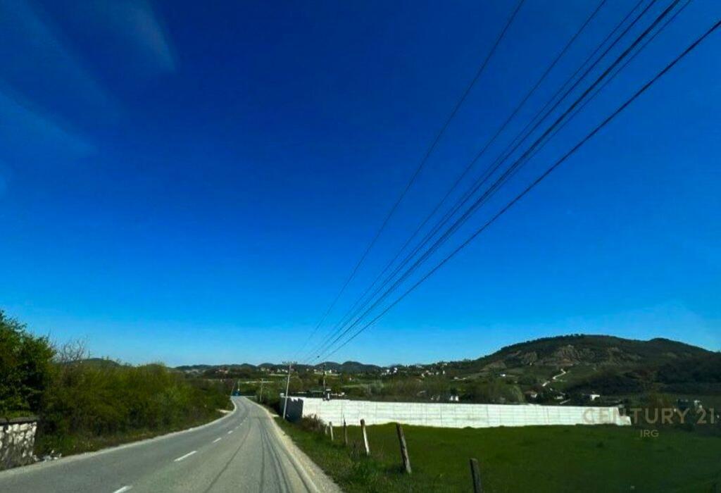 Toke ne Shitje, Vishaj