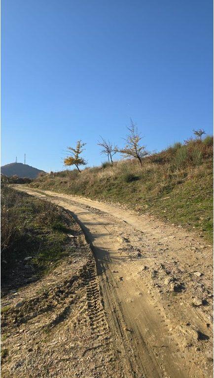 SHITET TOKË PRANË TEG – MUNDËSI IDEALE INVESTIMI