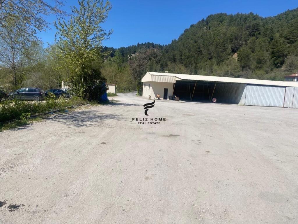 LAND FOR RENT AND BUSINESS BUILDING 10,000 M2 RENT 10,000 EURO