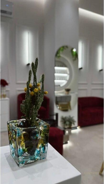 Qender esterike per thonj me qira, Astir