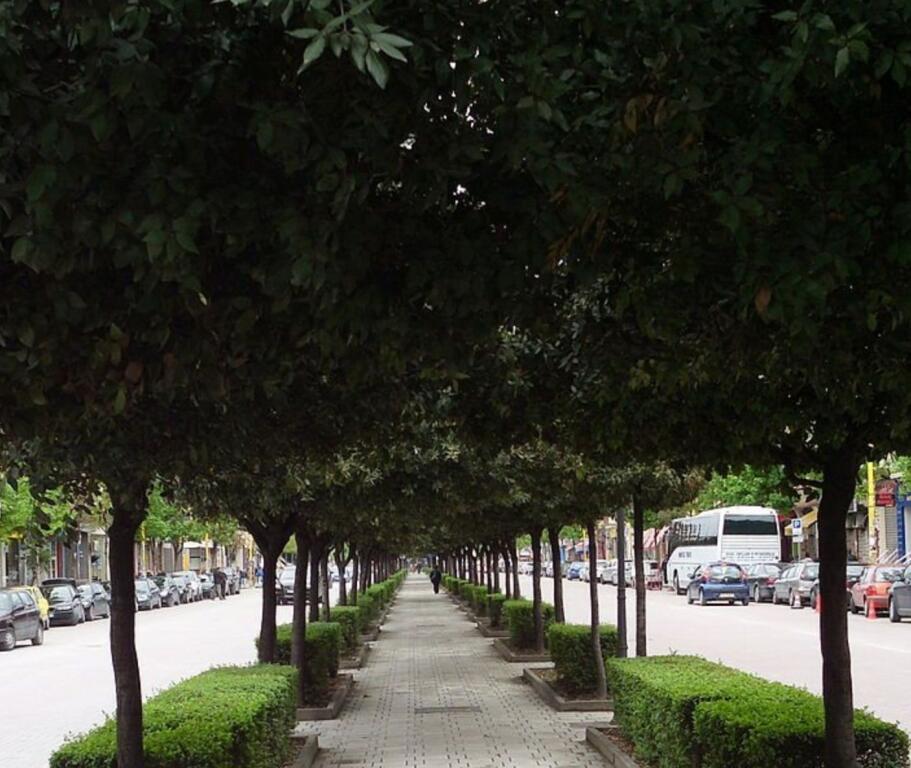 Negozio in affitto sul bordo della strada – Viale Zogu i Parë